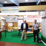 Fiera & festival delle foreste Consorzio Legno Veneto